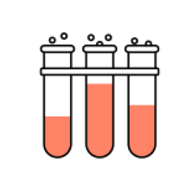 활성 및 선택성 평가 단계