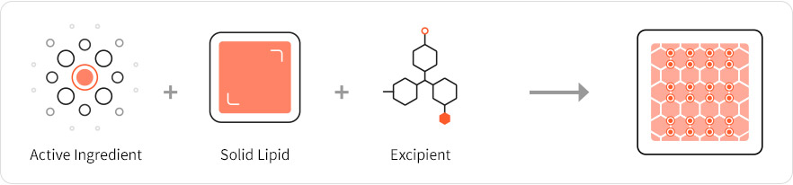 Active Ingredient+Solid Lipid+Excipient=Nano Dispersion in Solid Lipid